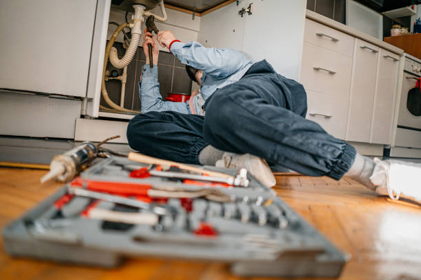 Best Plumbing Services Near Me  in Houghton Lake, MI